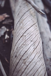 Close-up of hand