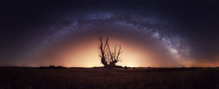 Scenic view of field against sky at night