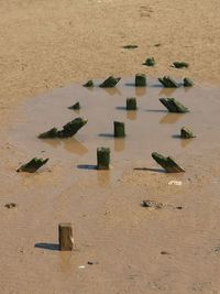 High angle view of text on beach