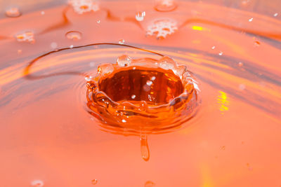 Close-up of drop on water against black background