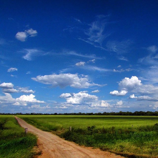 grass, landscape, field, sky, tranquil scene, tranquility, scenics, blue, rural scene, beauty in nature, nature, grassy, cloud, the way forward, cloud - sky, green color, agriculture, horizon over land, growth, non-urban scene