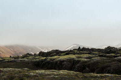 Land covered in green fresh moss seen while trekking in iceland