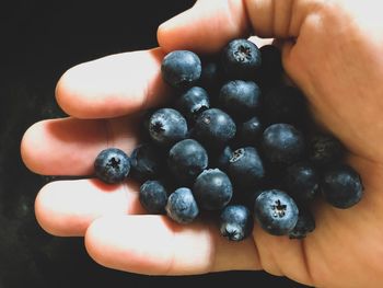 Cropped image of hand holding fruits