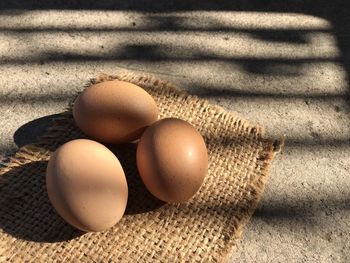 egg