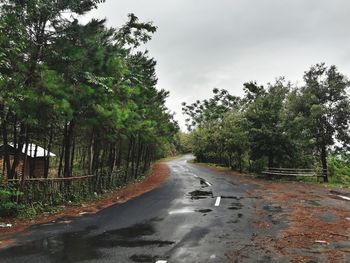 Wet road amidst trees in forest against sky
