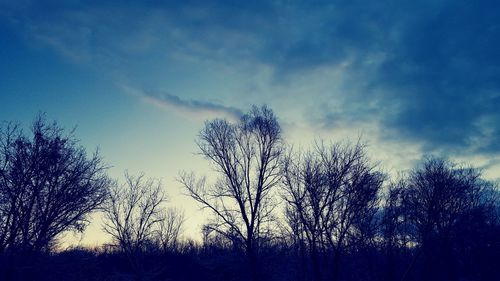 Silhouette of trees against sky