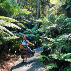 Dancing in the rainforest 