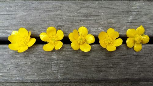 High angle view of yellow flowers on table