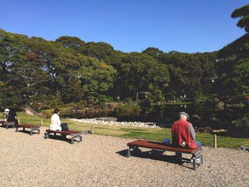 Rear view of man sitting on bench in park