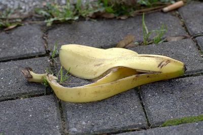 Close-up of yellow fruit on road
