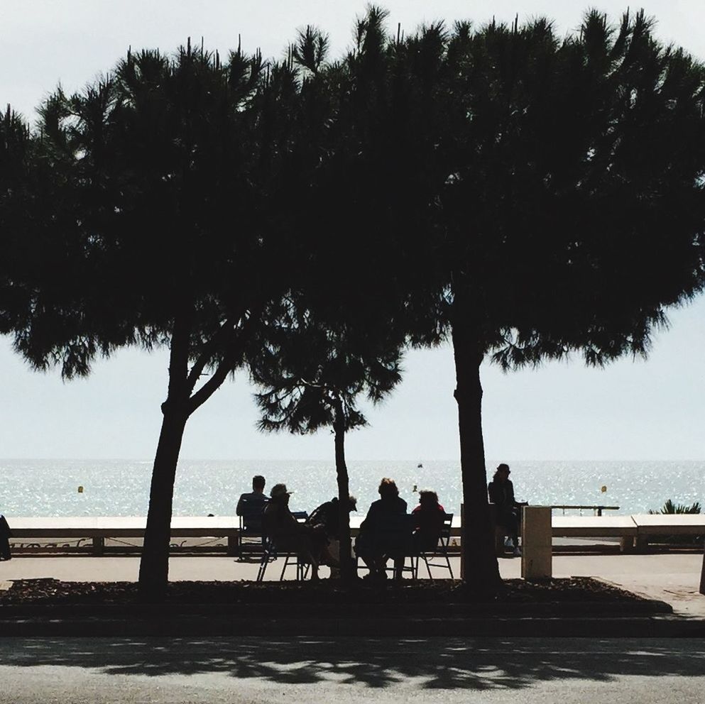 sea, water, tree, horizon over water, beach, silhouette, palm tree, men, lifestyles, leisure activity, person, shore, scenics, sky, beauty in nature, nature, tranquility, tranquil scene, vacations