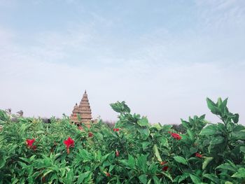 Temple against sky