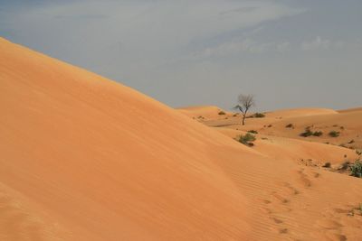 Scenic view of desert against sky