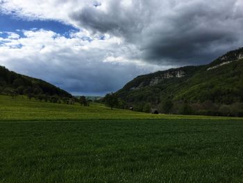 Scenic view of field against sky