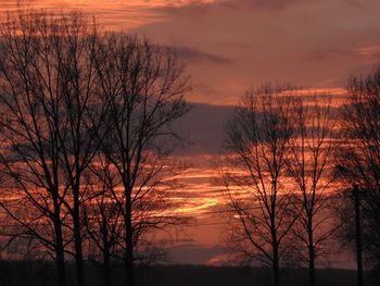 Silhouette bare trees against dramatic sky during sunset