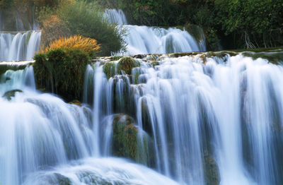 Scenic view of waterfall in forest