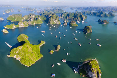 Aerial view of green floating on sea