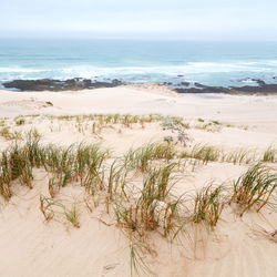 Scenic view of beach against sky