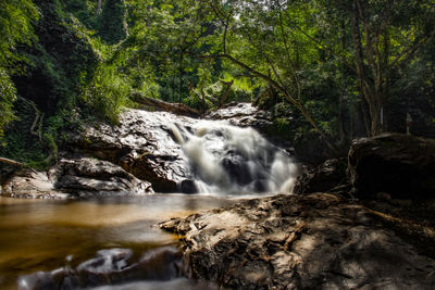 Scenic view of waterfall in forest