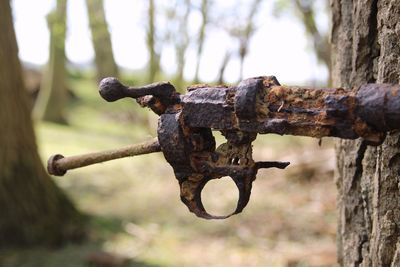 Close-up of rusty metal