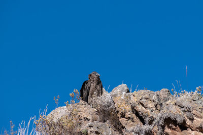 Low angle view of a rock formation against clear blue sky