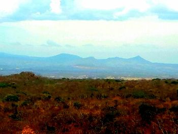 Scenic view of field against sky