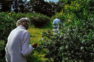 Rear view of man and plants against trees
