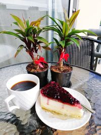 Potted plant on table