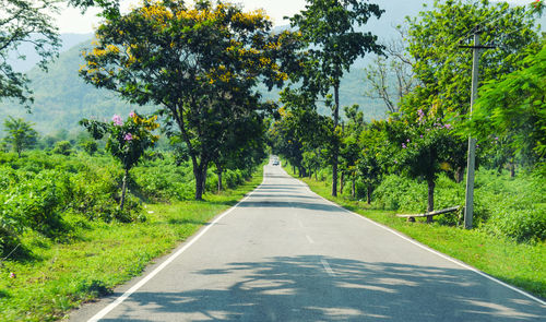 Road amidst trees against sky