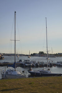 Boats moored at harbor against clear sky