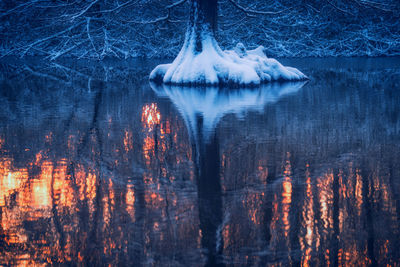 Digital composite image of trees and lake in forest