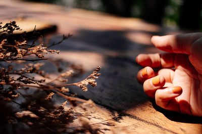 Cropped hand of woman by dead plants on wooden table