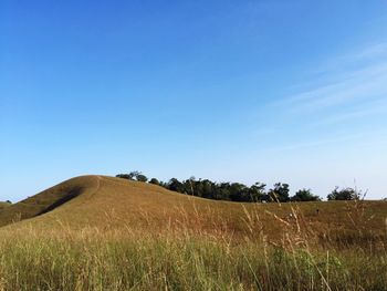 Low angle view of field against clear blue sky