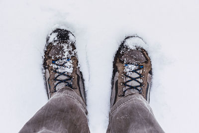 Low section of person on snow covered land