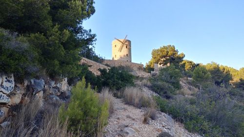 Plants and trees by building against clear sky