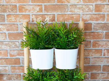 Potted plant against brick wall