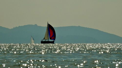 Sailboat sailing in sea against clear sky