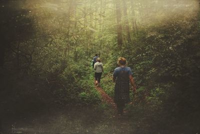 Rear view of people walking amidst trees in forest