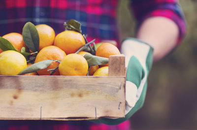 Close-up of orange fruits in container