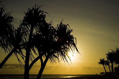 Silhouette palm trees against sky during sunset