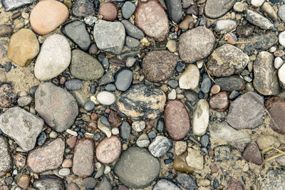 High angle view of stones