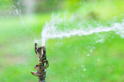 Close-up of wet umbrella on grass