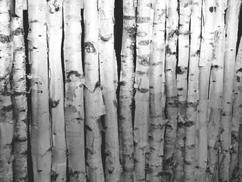 Close-up of wooden plank