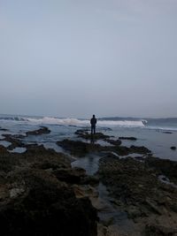 Rear view of man standing at beach against clear sky