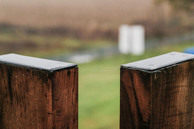 Close-up of wood against blurred background