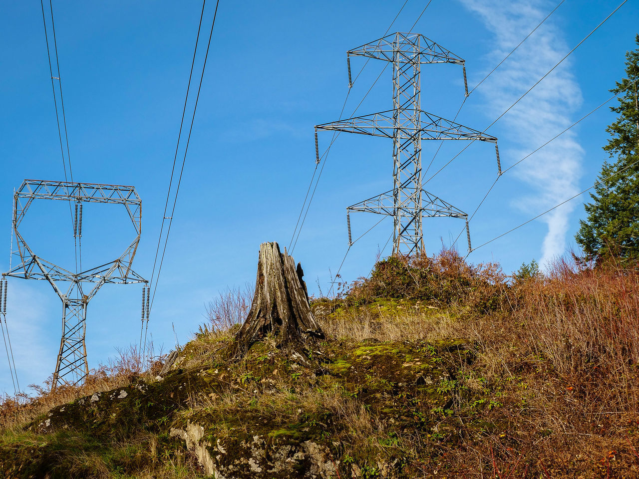 LOW ANGLE VIEW OF ELECTRICITY PYLON ON FIELD