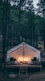 View of luxury tent in forest at night