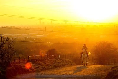 Woman riding horse on street against sky during sunset