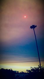 Low angle view of trees against sky at sunset