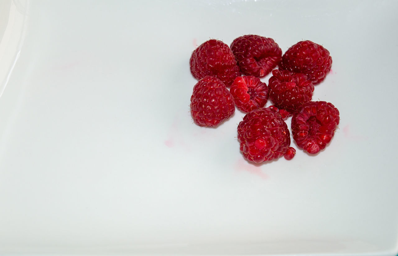 HIGH ANGLE VIEW OF RASPBERRIES